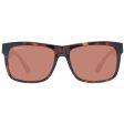 Unisex Sunglasses Serengeti 8371-AU 56 Fashion