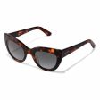 Ladies Sunglasses Hyde Hawkers Brown Discount