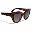 Ladies Sunglasses Hyde Hawkers Brown Discount