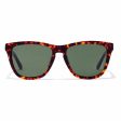 Unisex Sunglasses One X Hawkers Havana For Cheap