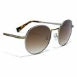 Unisex Sunglasses Moma Hawkers Golden Havana Supply