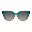 Ladies Sunglasses Audrey Hawkers Green Golden Fashion