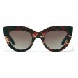 Ladies Sunglasses Hyde Hawkers Dark brown Fashion