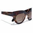 Ladies Sunglasses Hyde Hawkers Dark brown Fashion